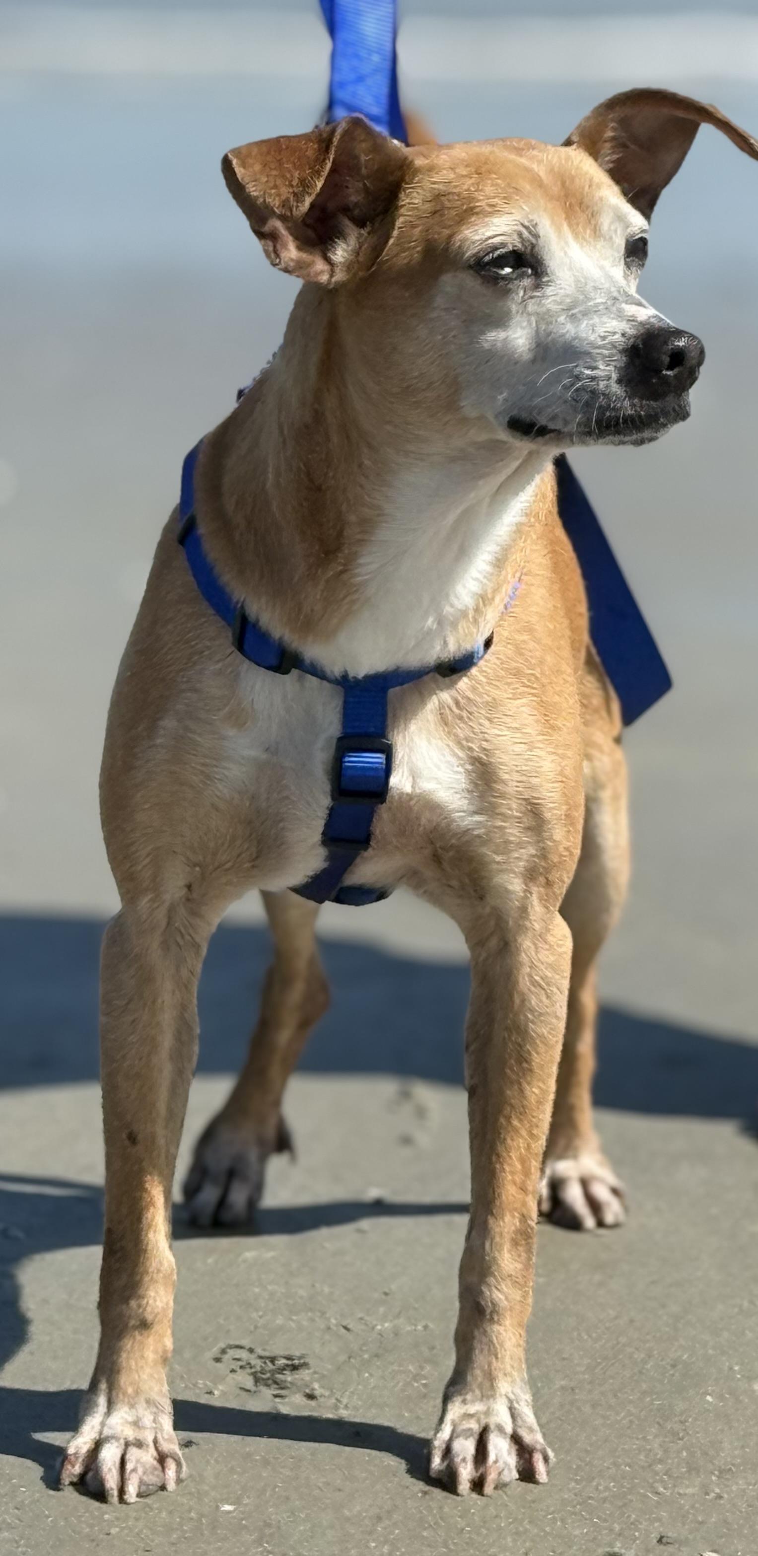 BERNIE photo 4