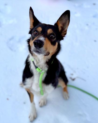 Bobby Newport thumbnail 3