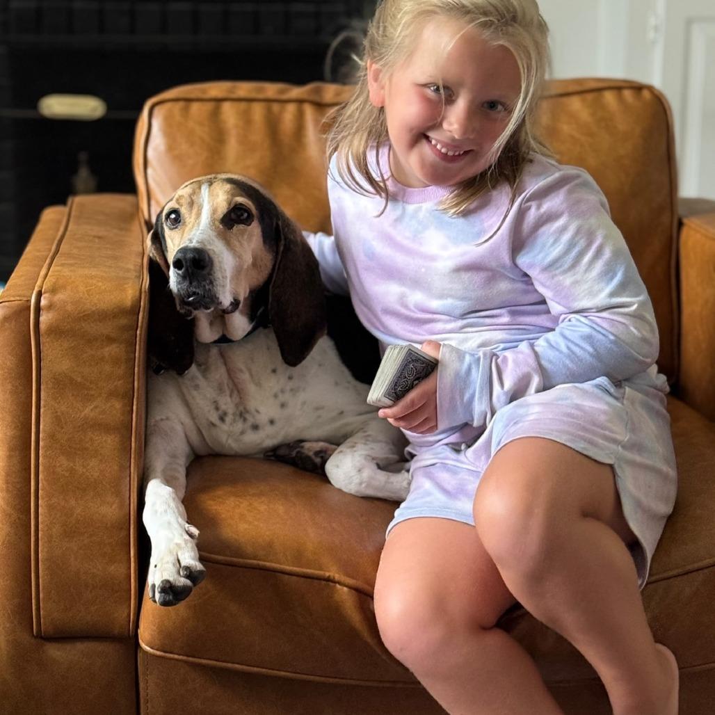 Enlarge Jeb, a Adoptable Foxhound in Richmond, VA image 4/6