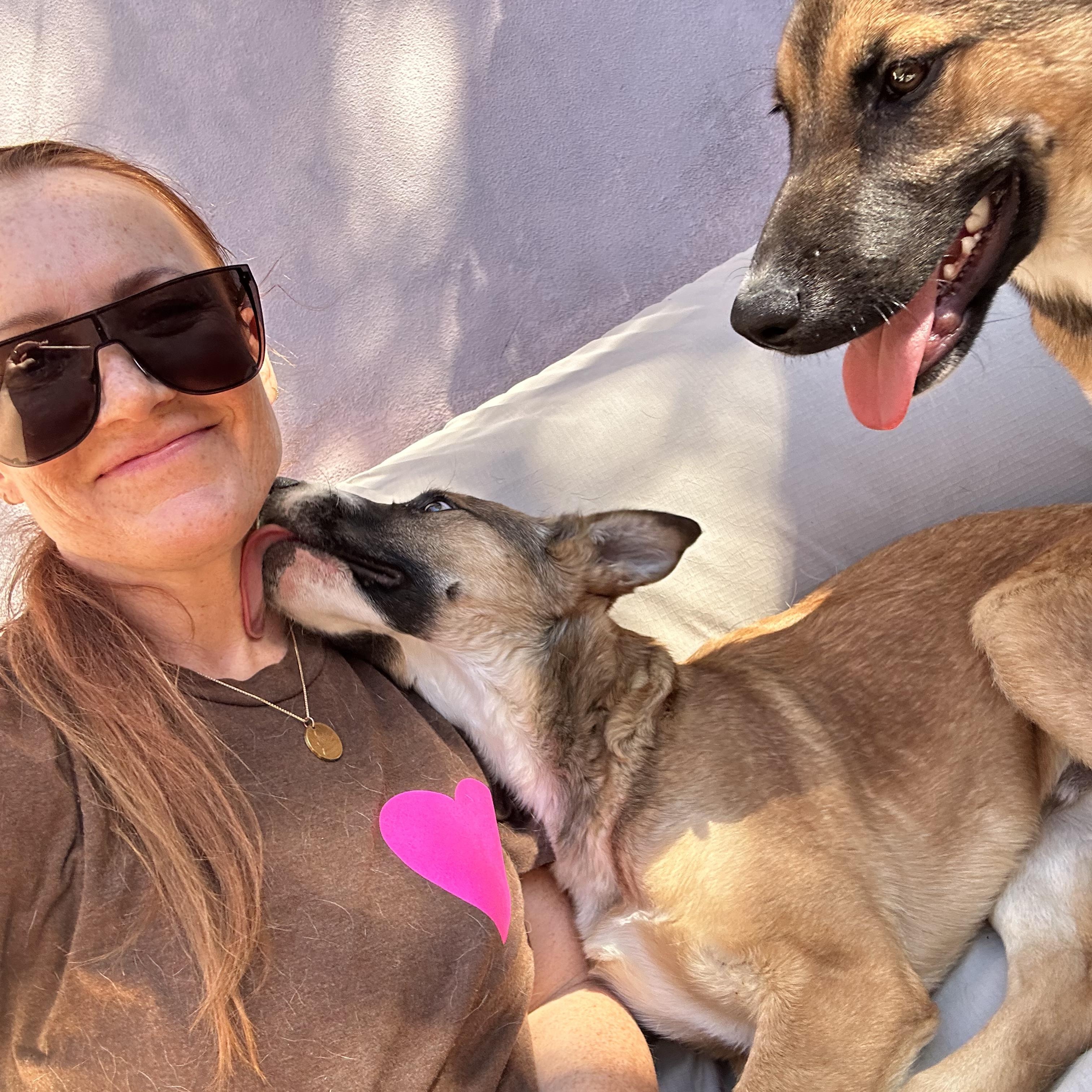 Enlarge NALA!, a Adoptable mixed breed in Portland, OR image 2/5