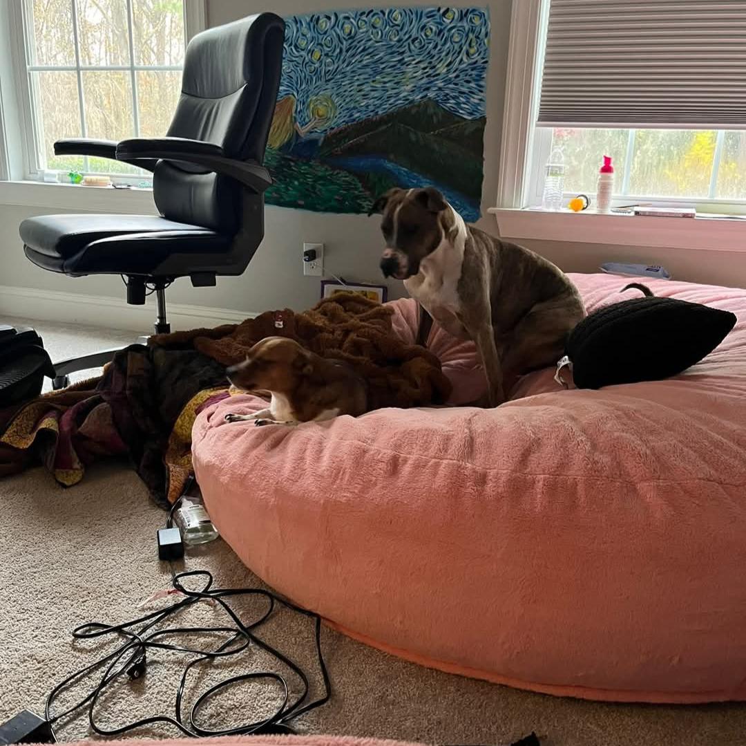 Jimmy - Louisiana Litter