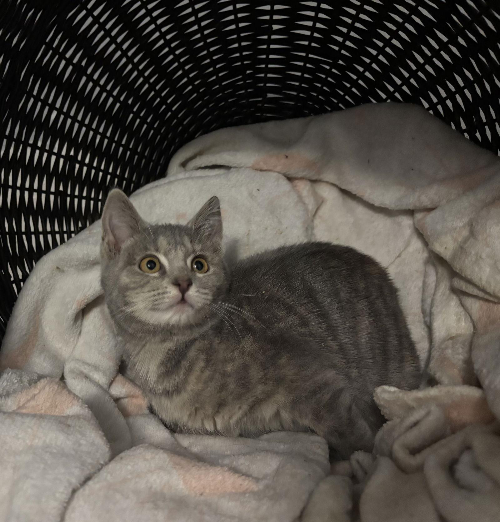 Winifred Sanderson thumbnail 3