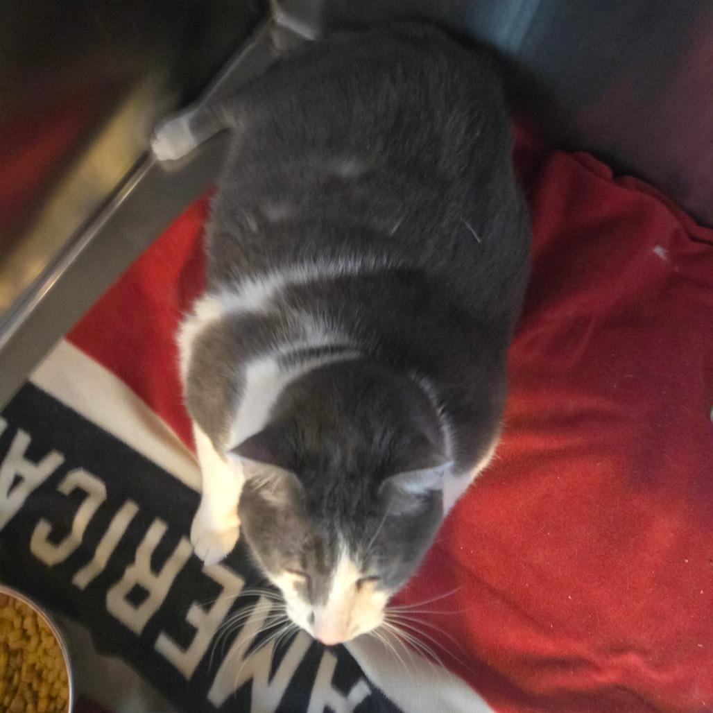 Meat Roll — thumbnail 3