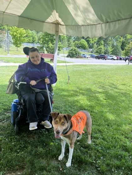 Tina, Adoptable, Adult Female Hound & Mixed Breed.