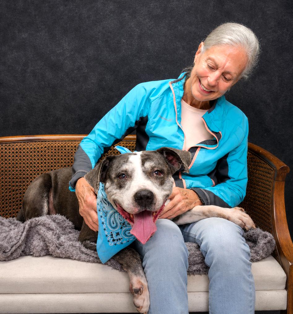 Wonder, a ADOPTABLE Mixed Breed in Cheboygan, MI image 3/6
