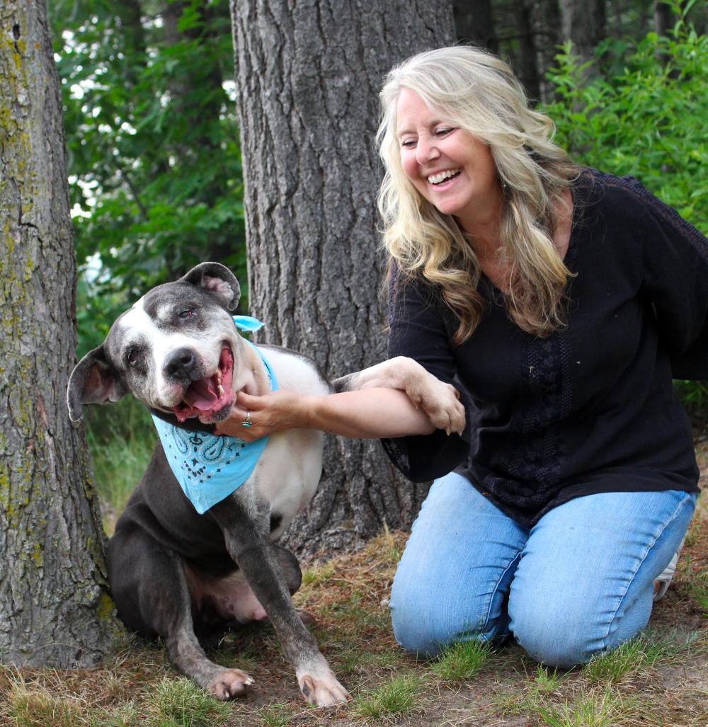 Wonder, a ADOPTABLE Mixed Breed in Cheboygan, MI image 2/6