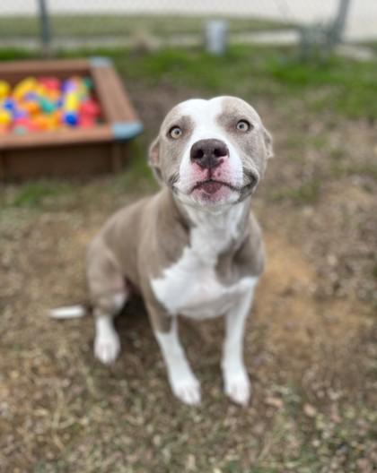 Dancer — thumbnail 2