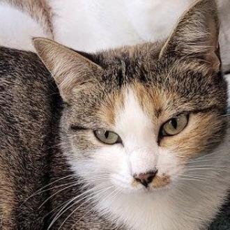 Rita Hayworth — thumbnail 3