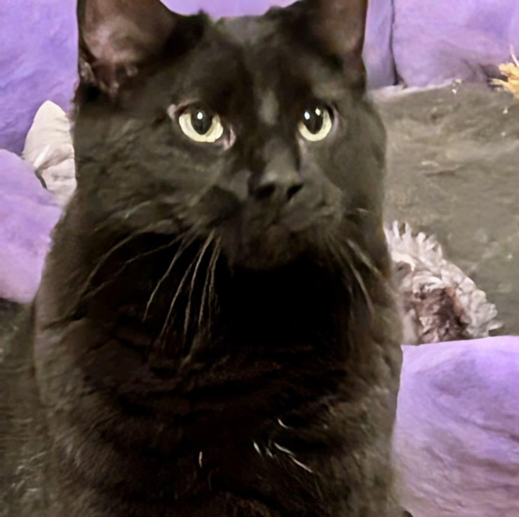 Gatsby — thumbnail 2