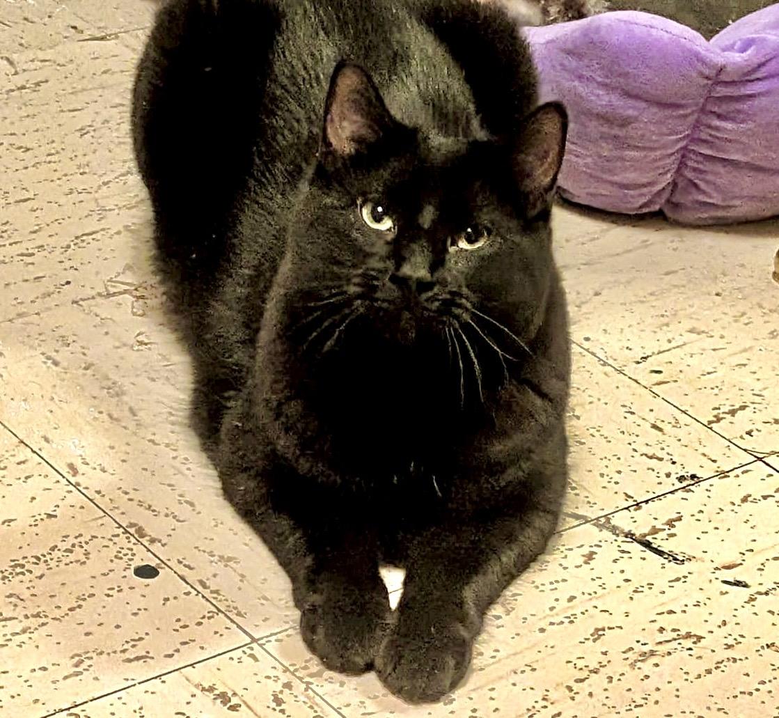 Gatsby — thumbnail 3