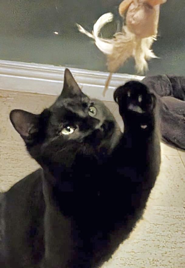 Gatsby — thumbnail 4