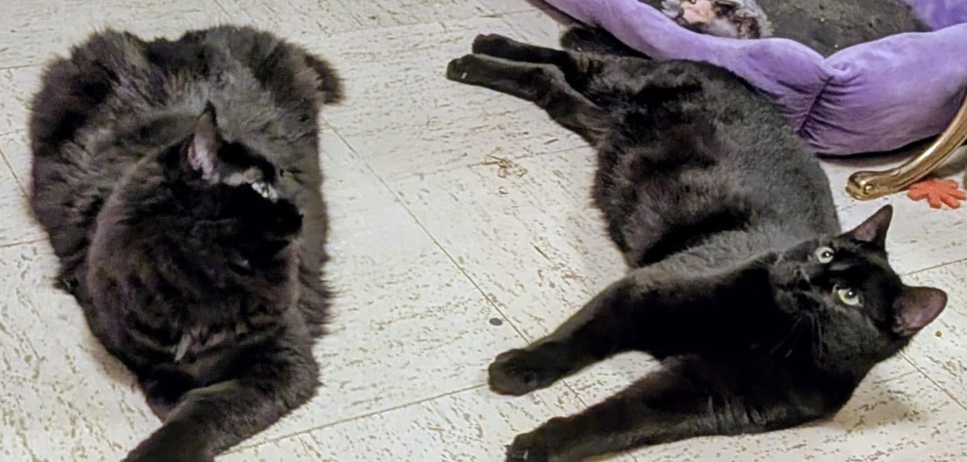 Gatsby — thumbnail 5