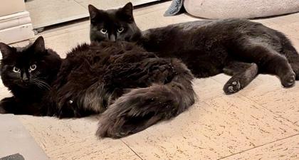 Gatsby — thumbnail 6