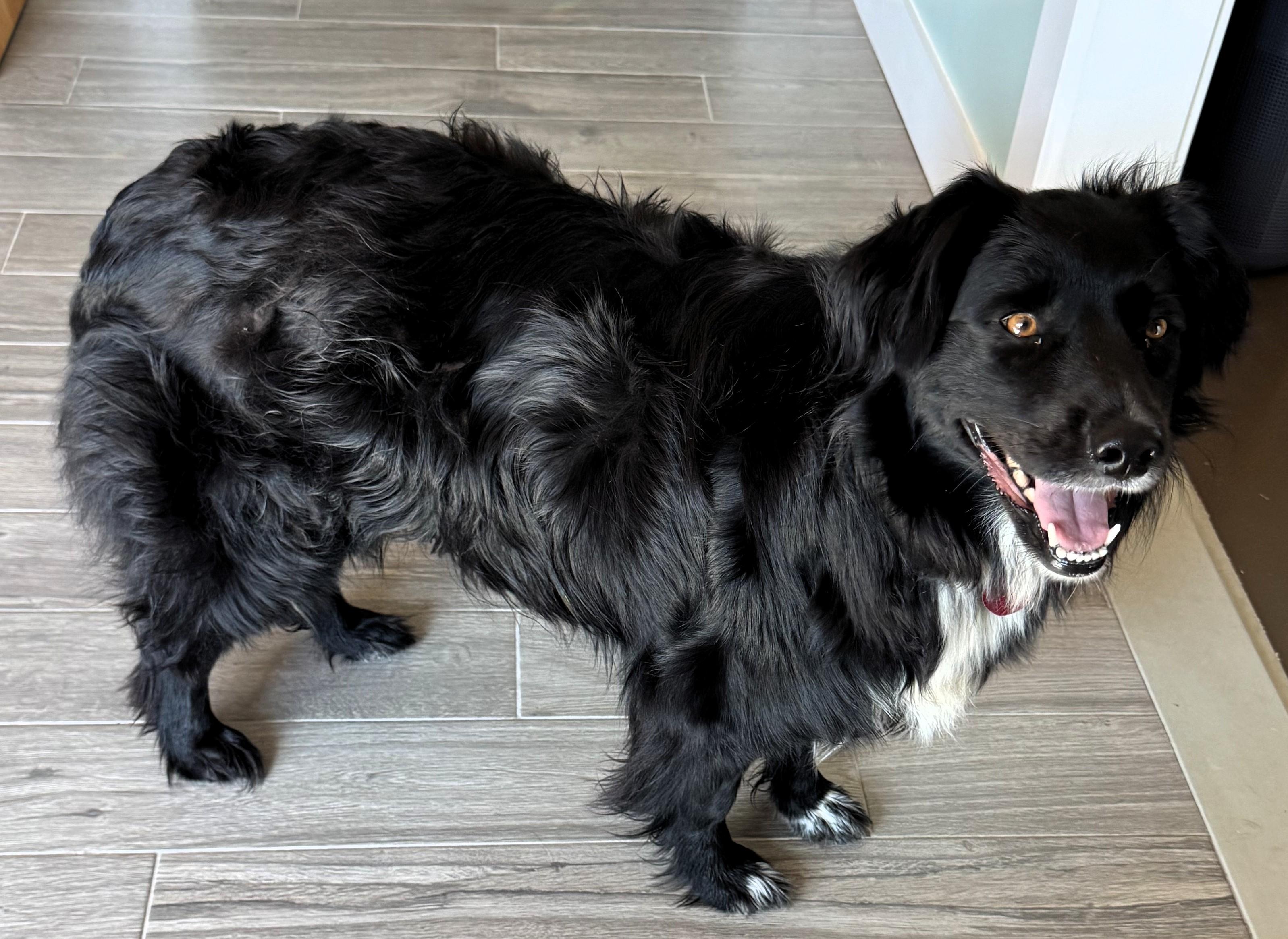Maggie
