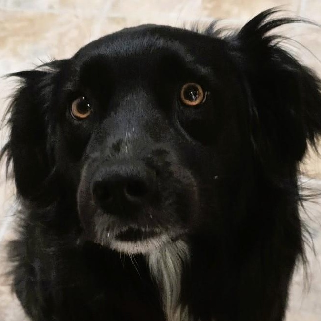 Maggie