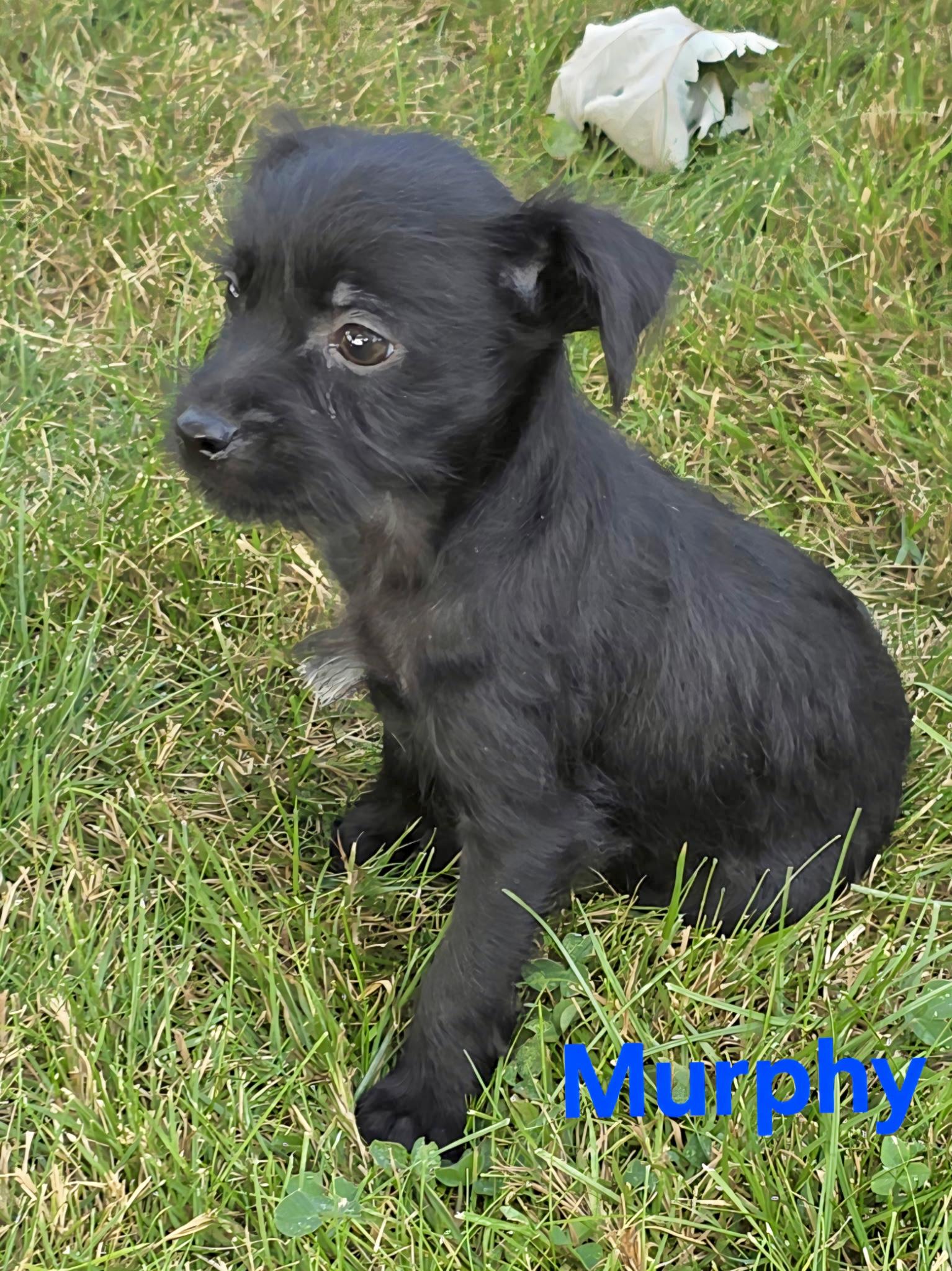 Max and his siblings photo 5