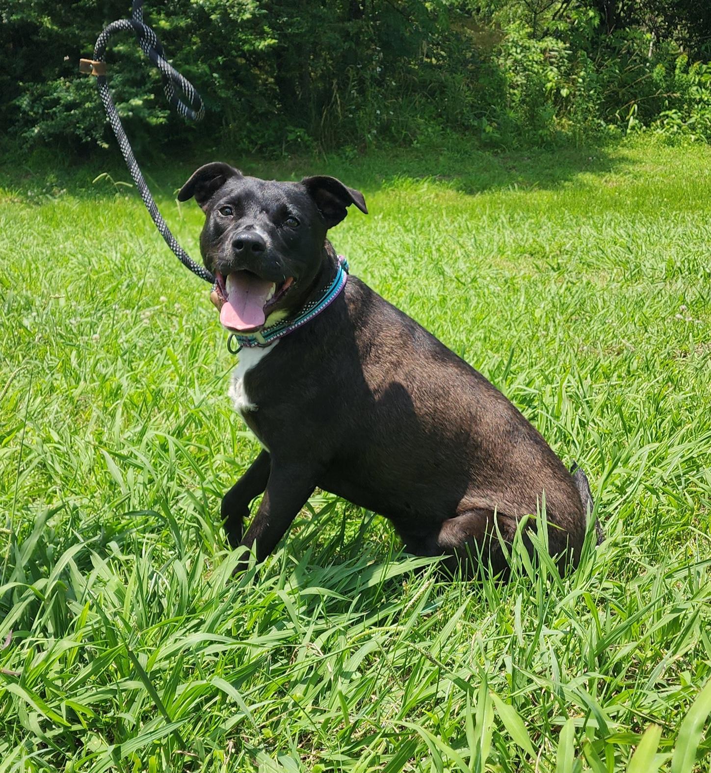Lilly