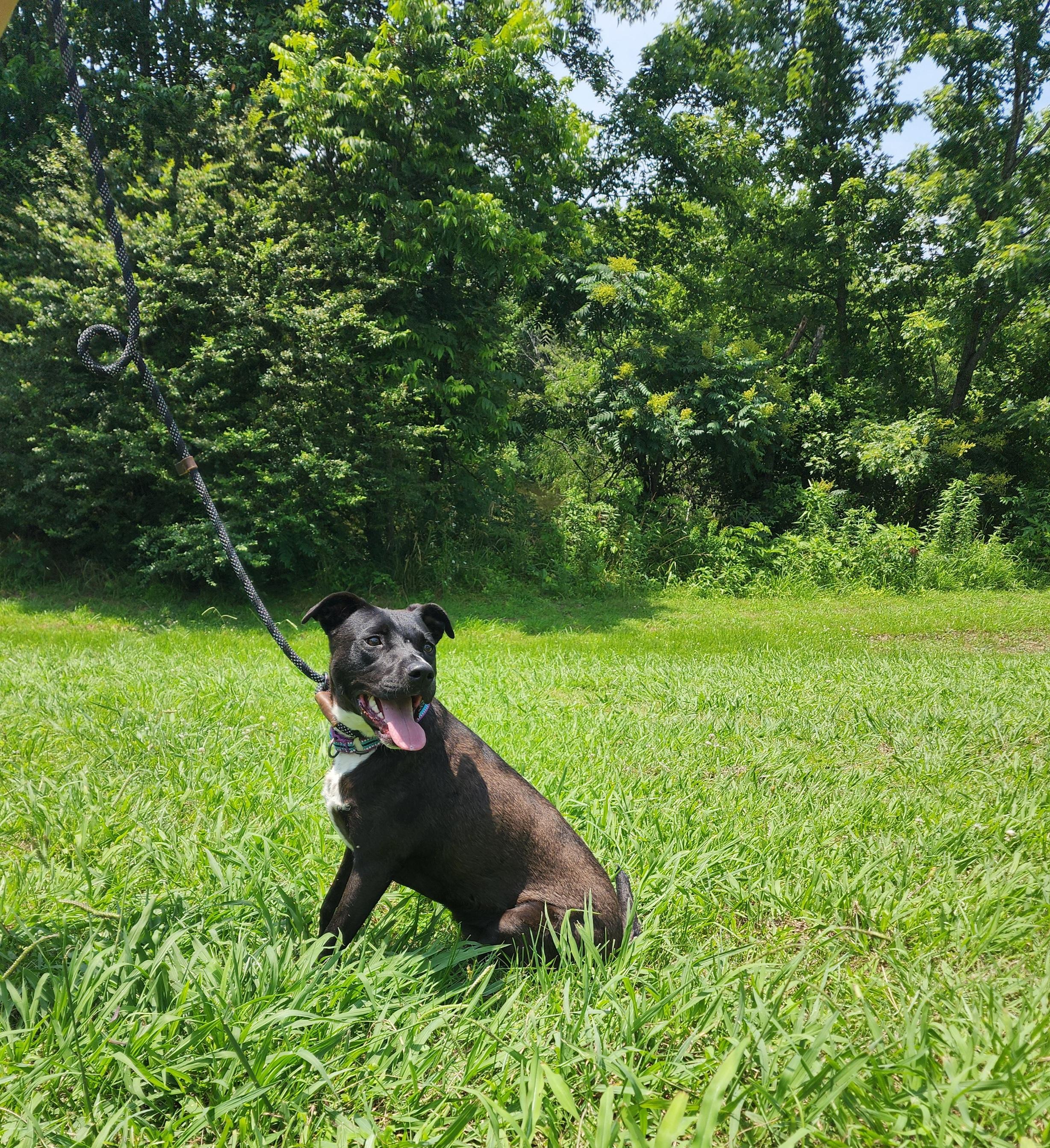 Lilly