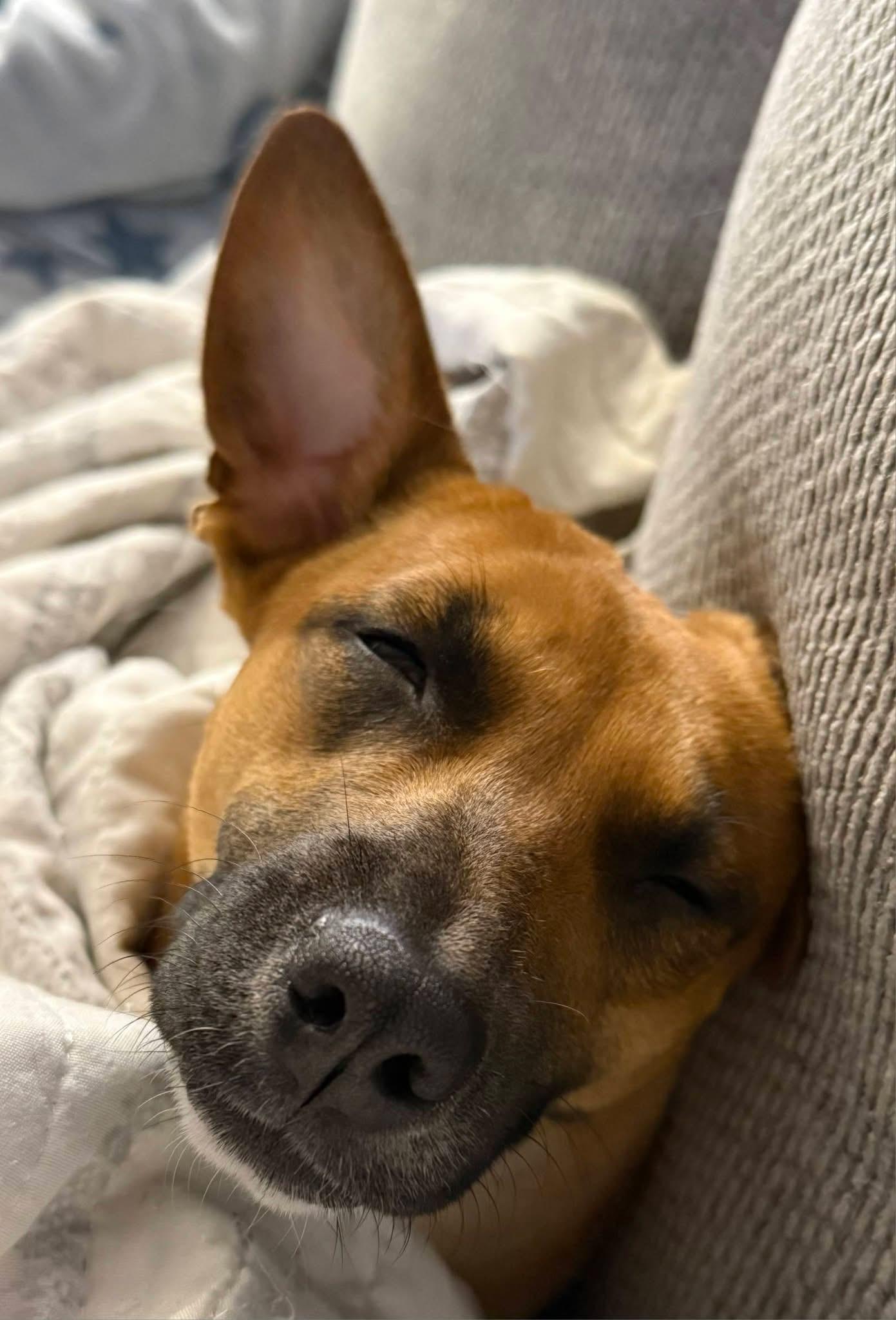 Sarah — thumbnail 2