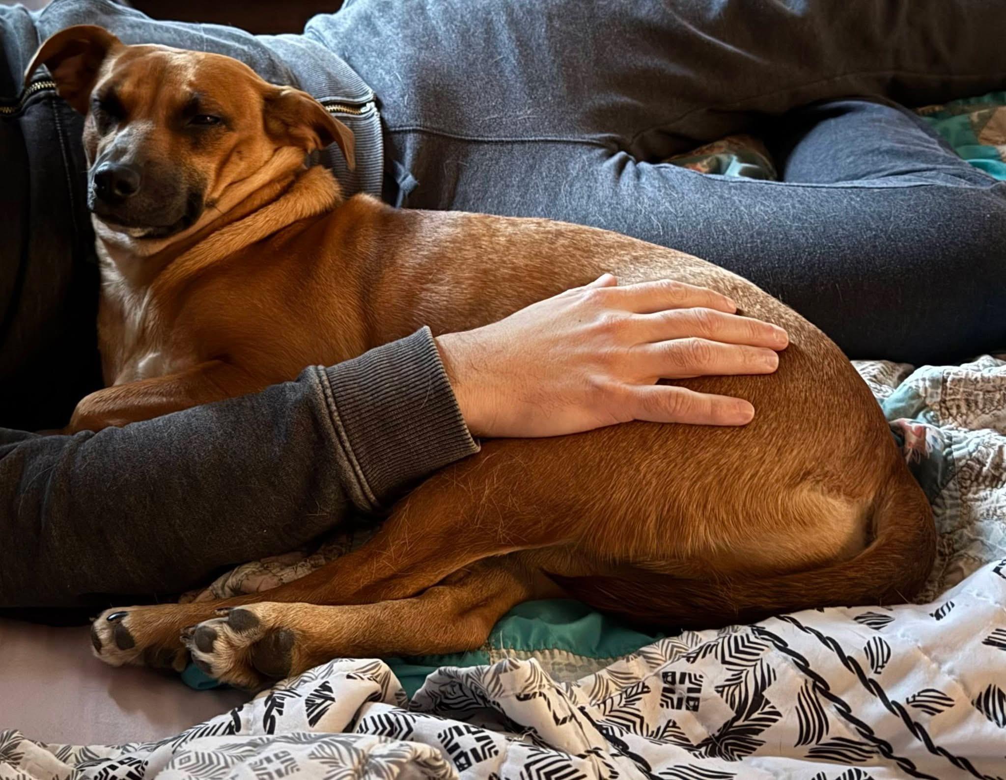 Sarah — thumbnail 3