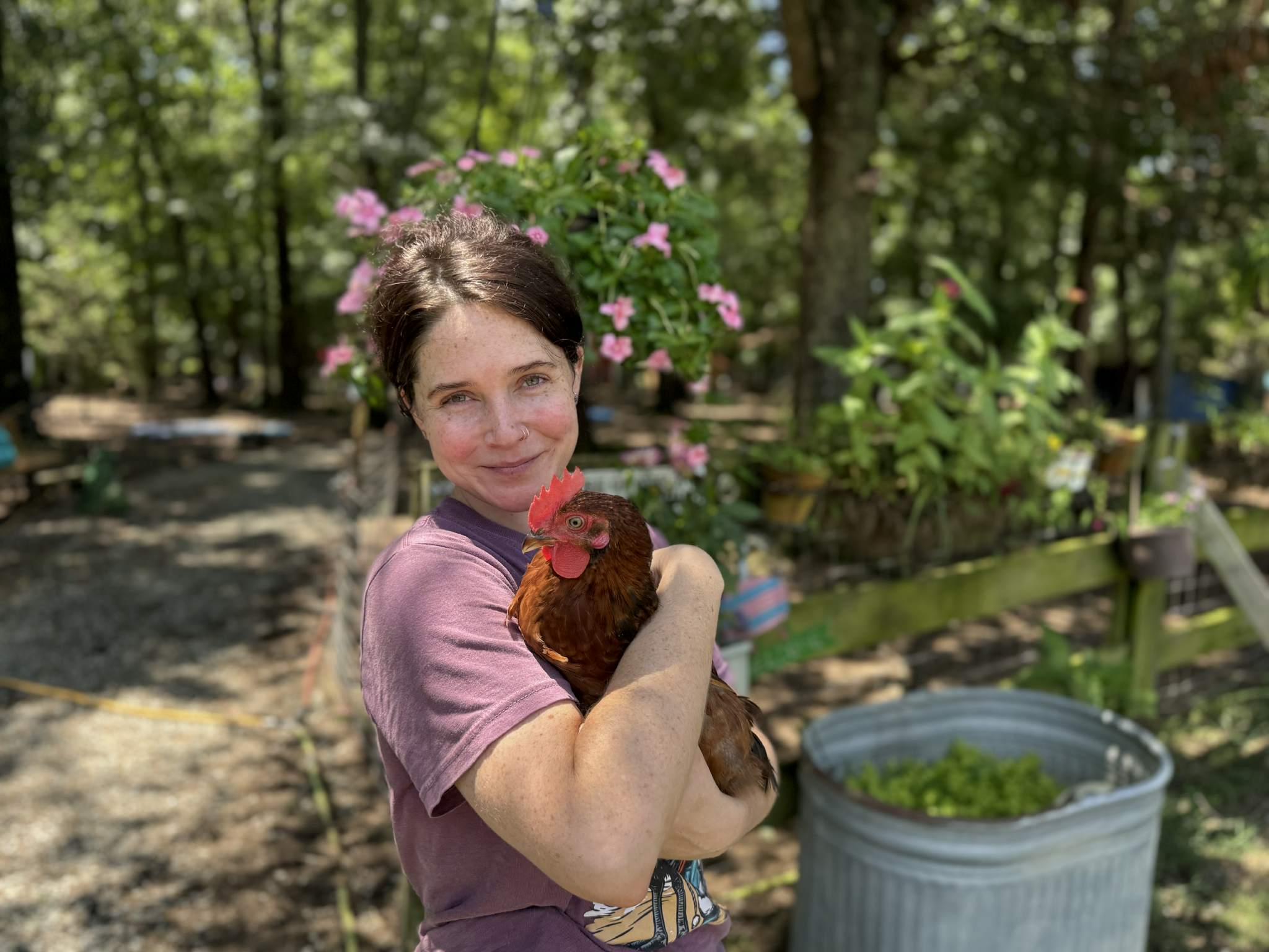 Baby Roo, a Adoptable Chicken in Durham, NC image 2/5