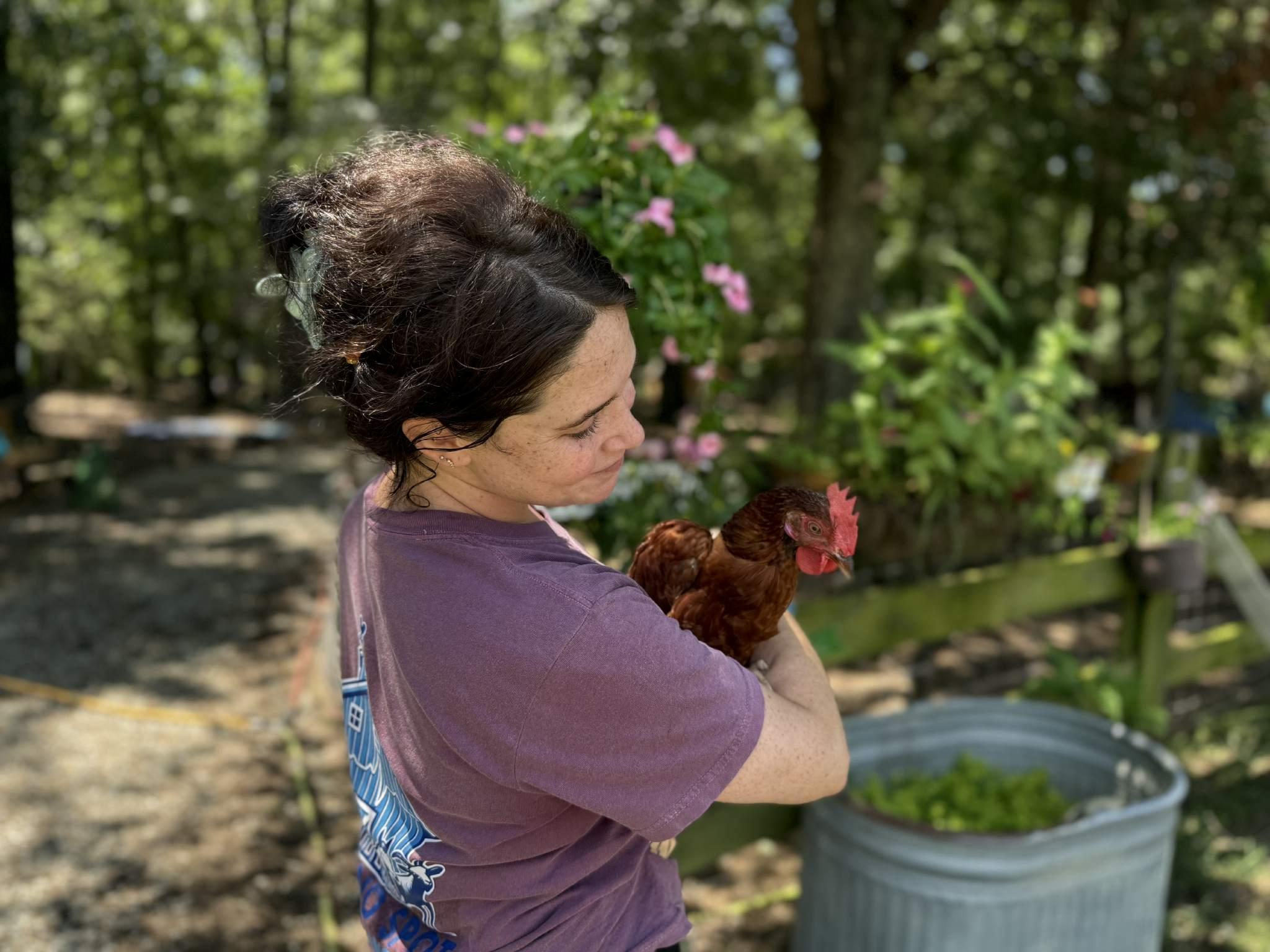 Baby Roo, adopted, Baby Male Chicken.