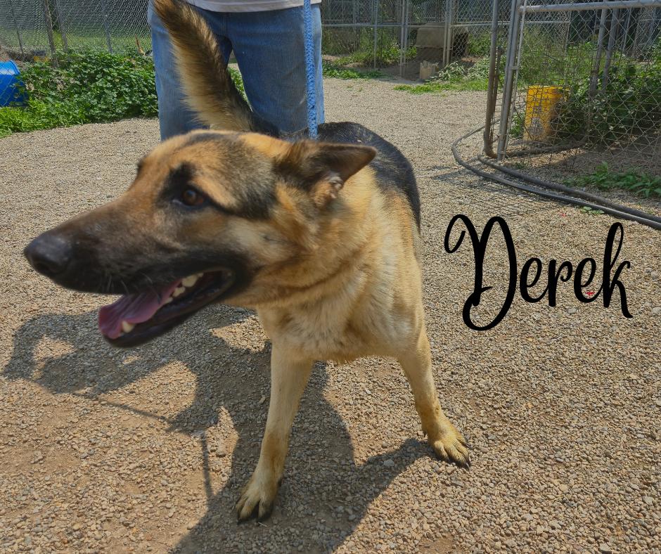 Derek