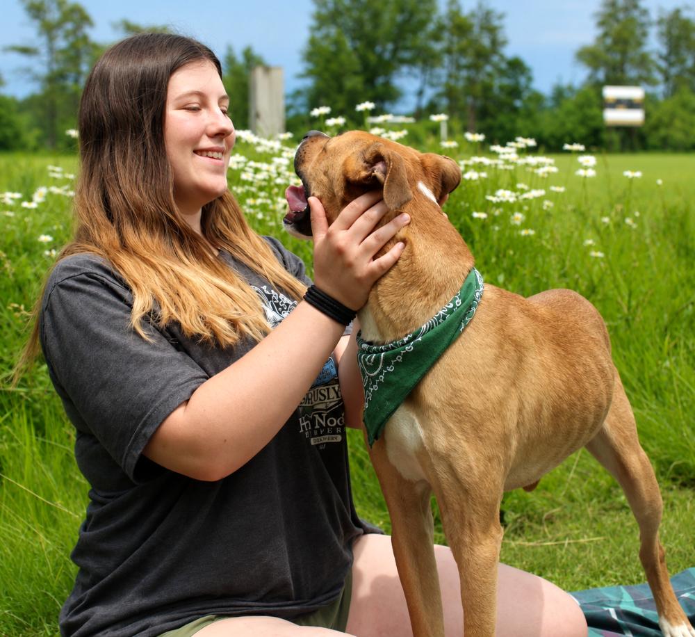 Rafikki, a ADOPTABLE Mixed Breed in Grayling, MI image 6/6