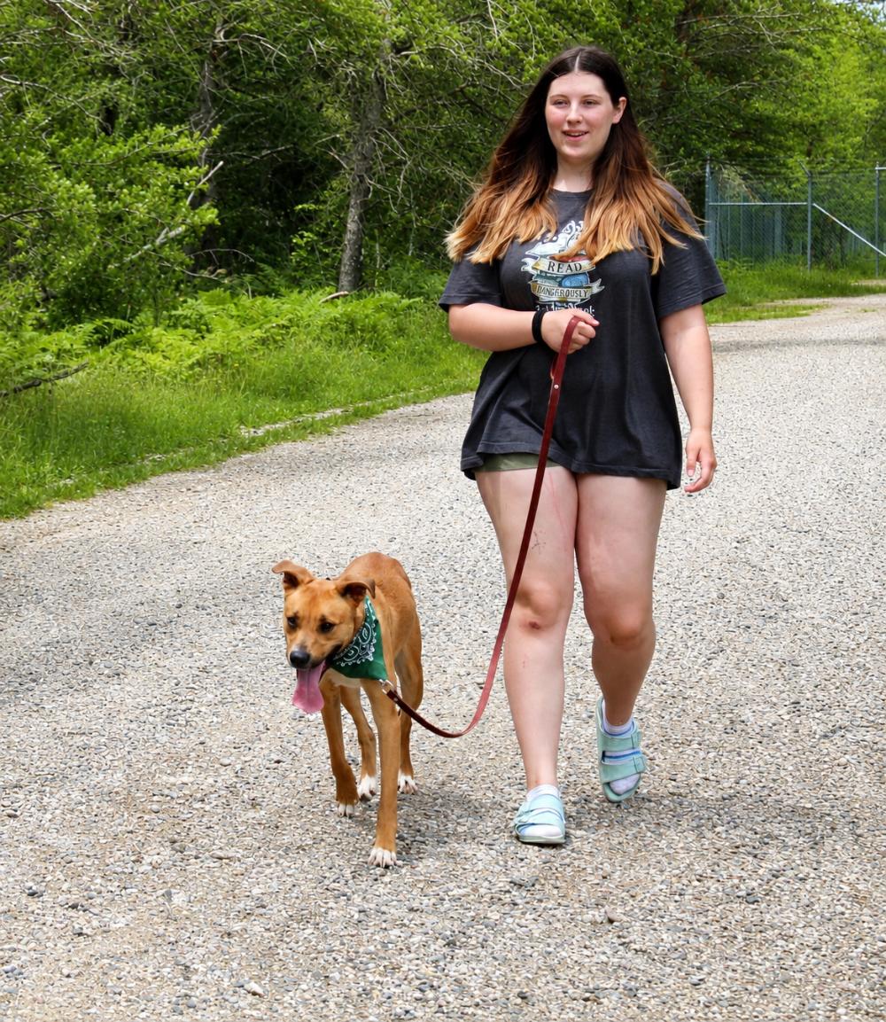 Rafikki, a ADOPTABLE Mixed Breed in Grayling, MI image 2/6