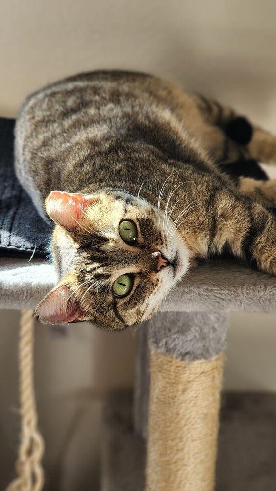 Rubi — thumbnail 2