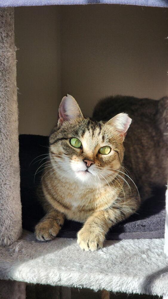 Rubi — thumbnail 3