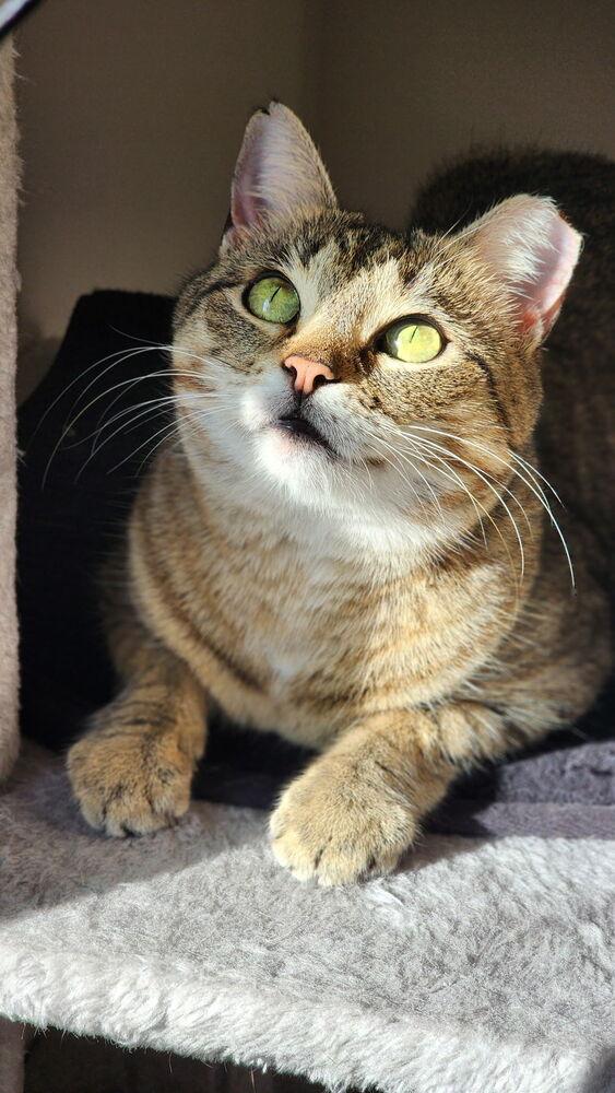 Rubi — thumbnail 4