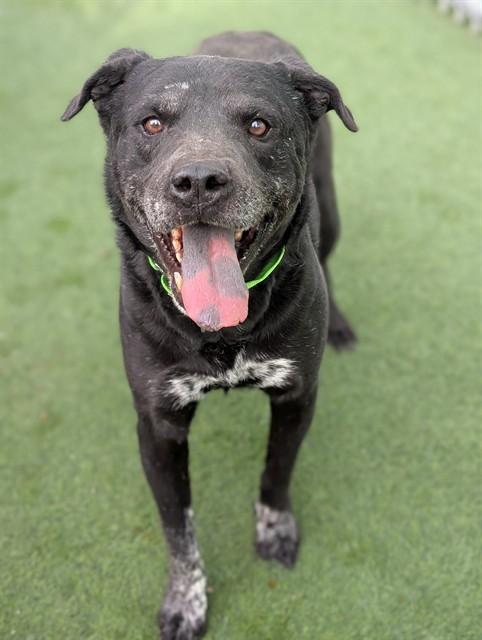 ERNEST* — thumbnail 2