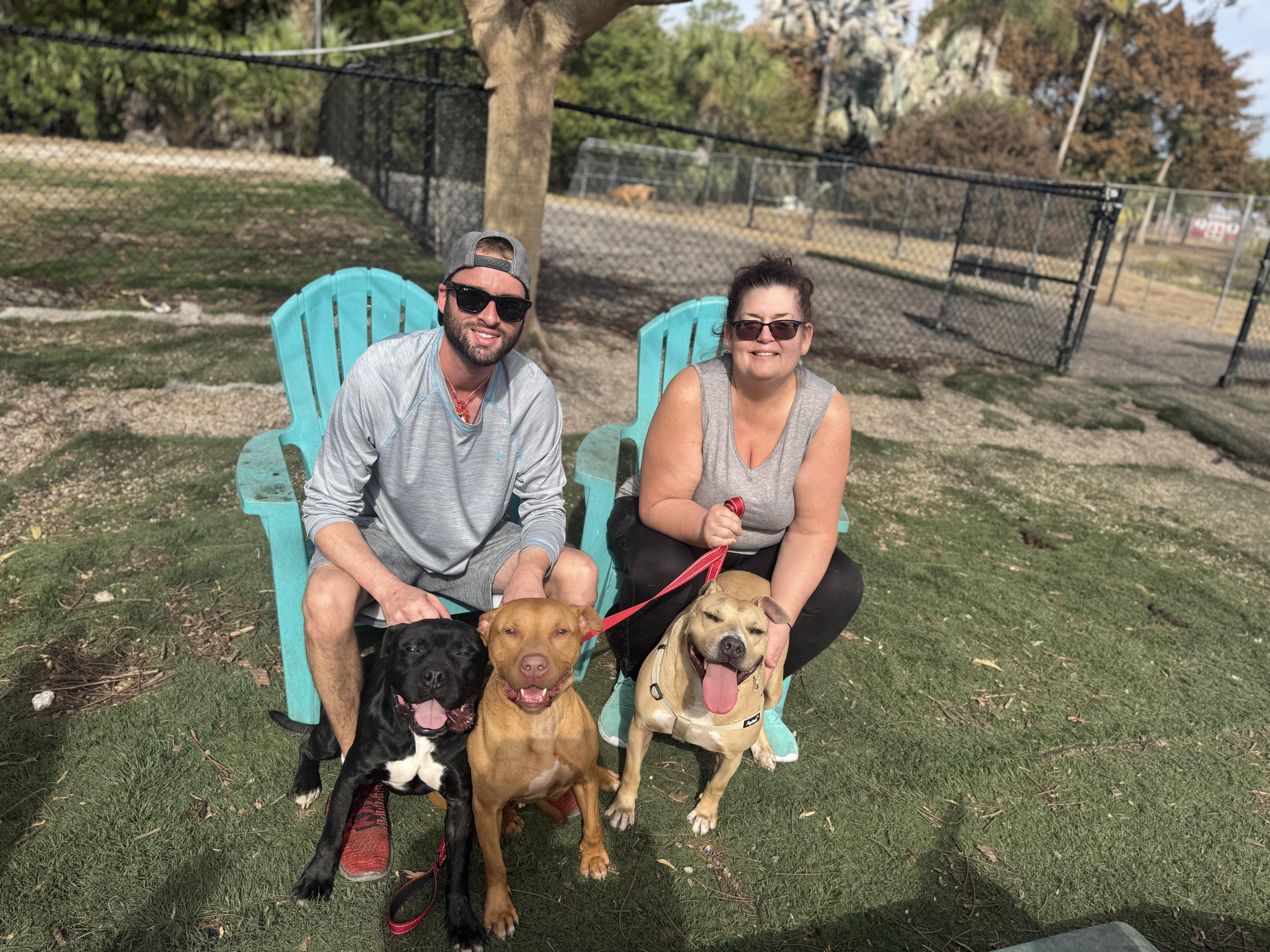 Chanel, a ADOPTABLE Mixed Breed in Palm City, FL image 2/3