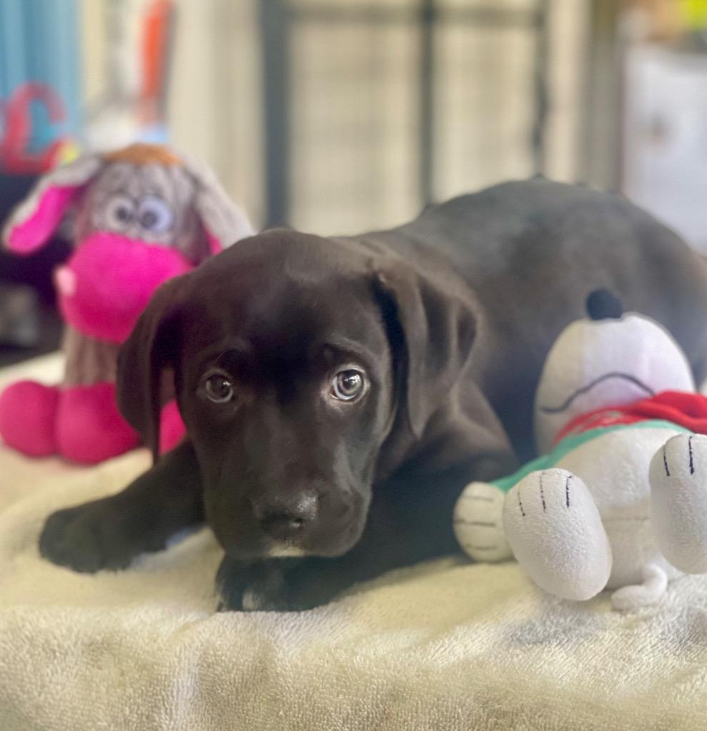 Landon — thumbnail 2