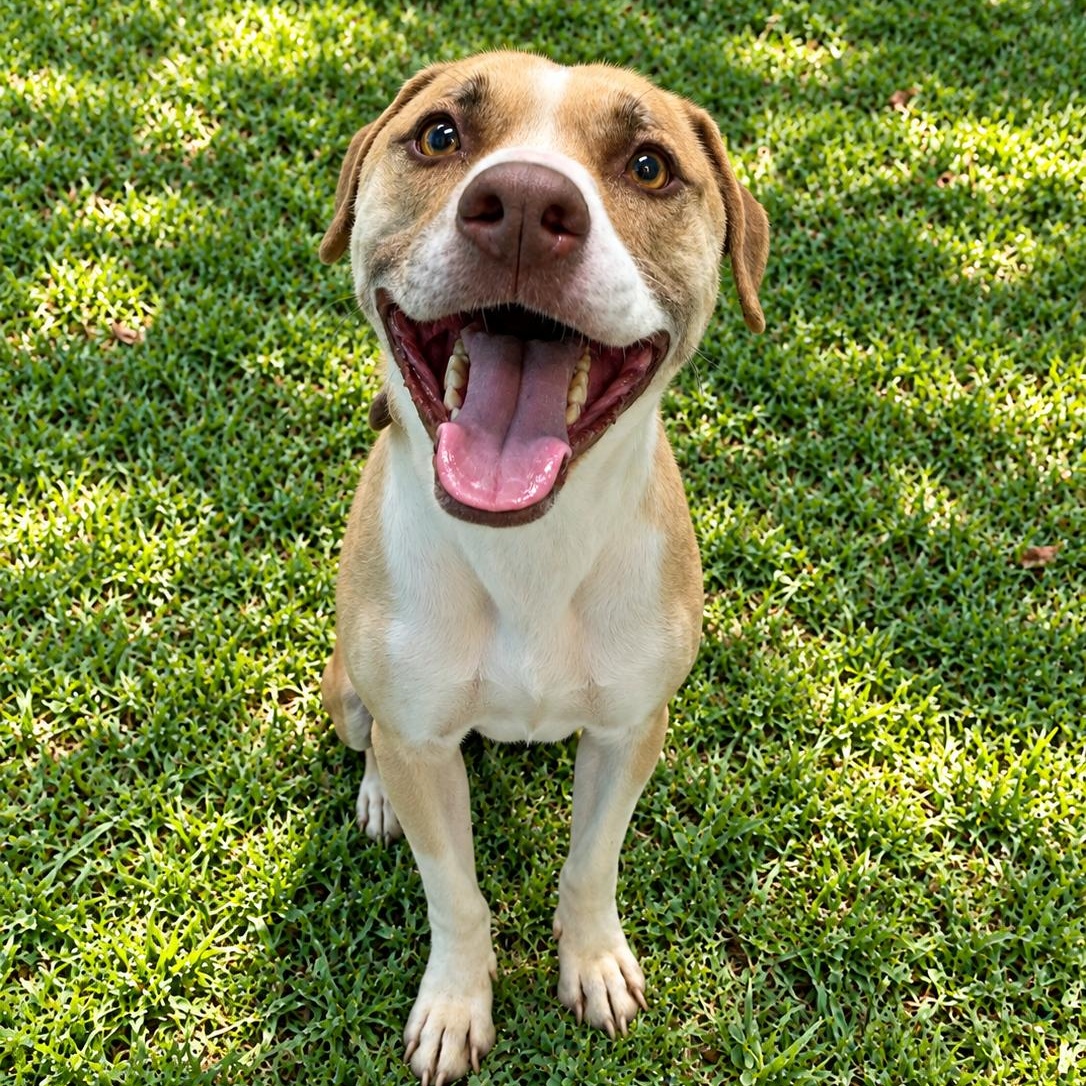 RALPH (Rescues Welcome) photo