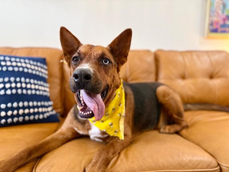 Niko Baby Boy — thumbnail 4