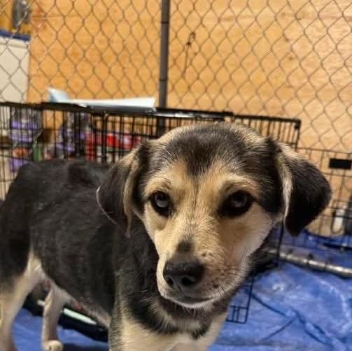 Tiny (20260128-07) — thumbnail 3