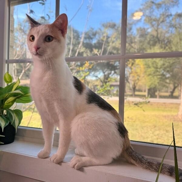 Chiquita Arredondo — thumbnail 3