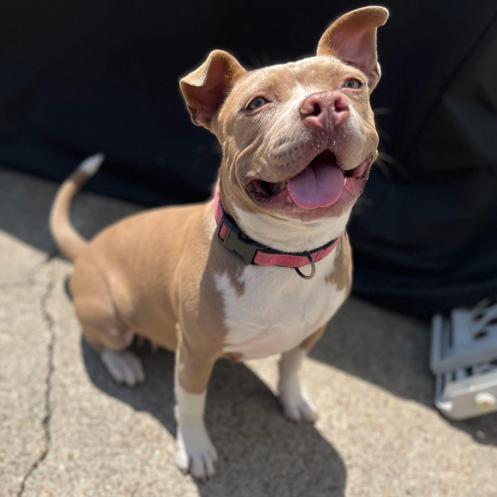 Misty — thumbnail 2