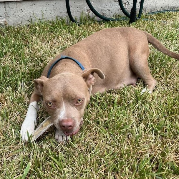 Misty — thumbnail 4