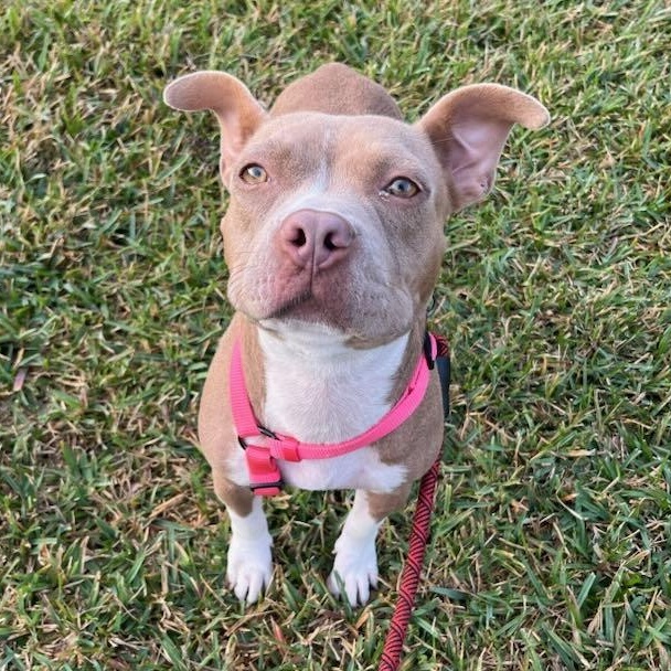 Misty — thumbnail 5