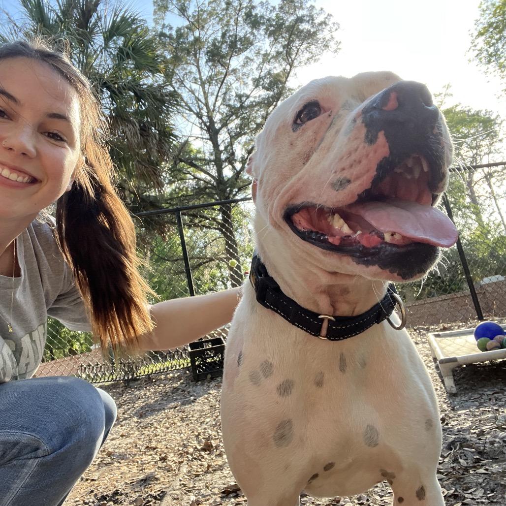 Enlarge Dolores, a Adoptable Mixed Breed in Jacksonville, FL image 4/6