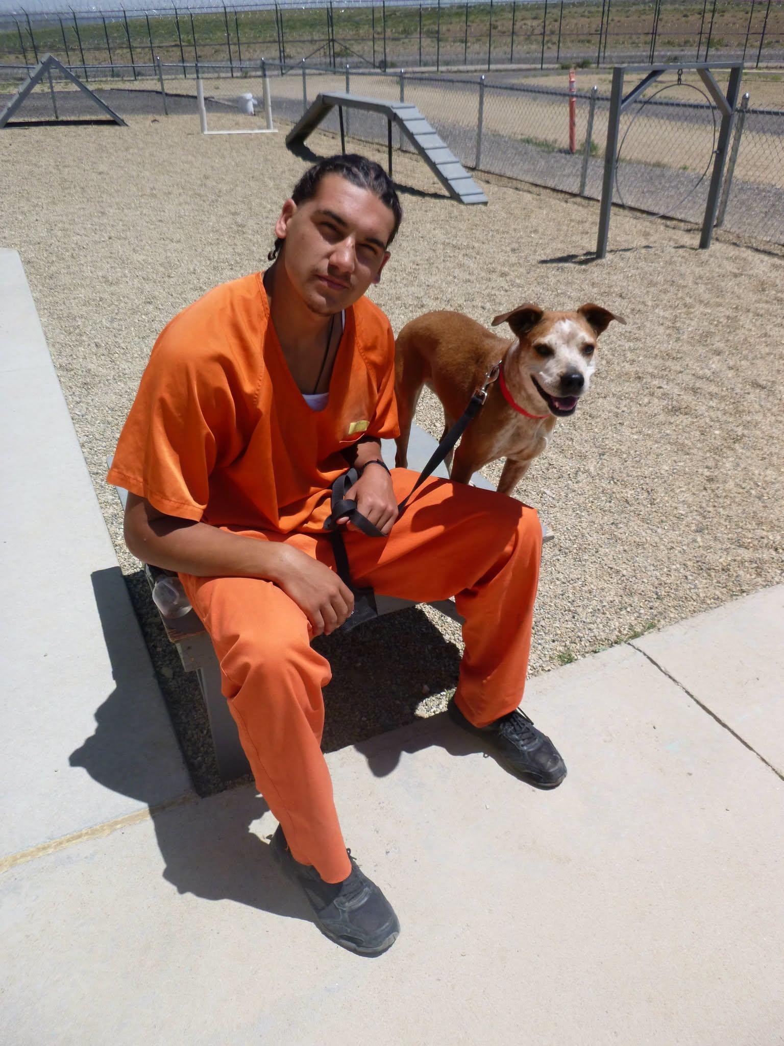 Enlarge Stormie, an adoptable mixed breed in Rawlins, WY image 5/5