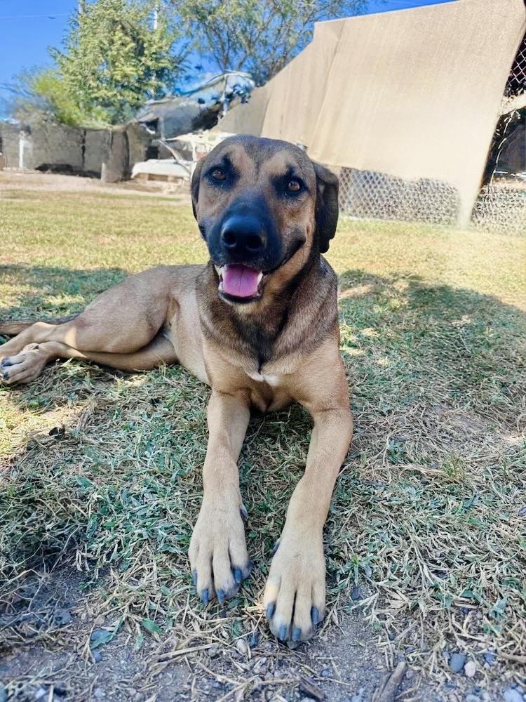 Dua Lipa — thumbnail 3