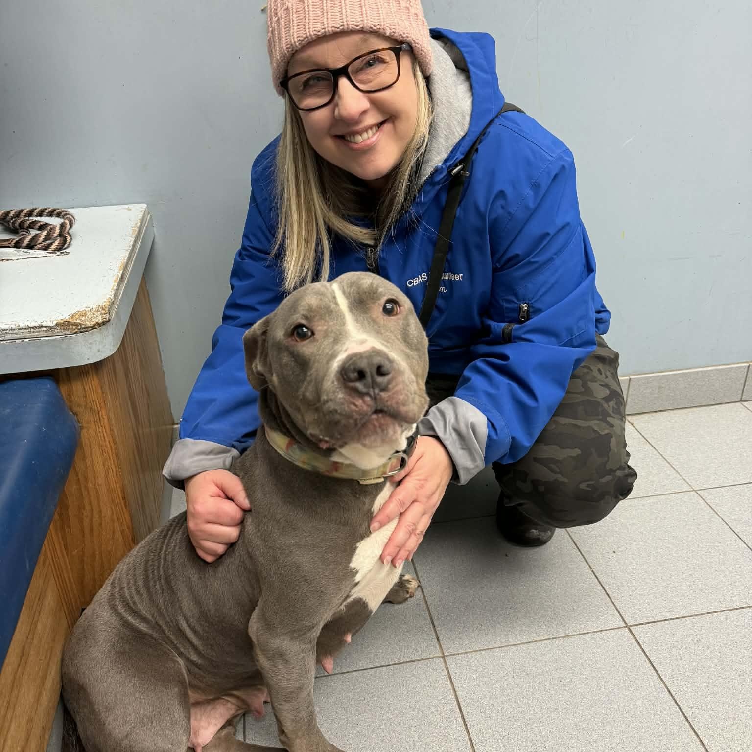 Wiggles, a ADOPTABLE Pit Bull Terrier in Buffalo, NY image 2/3