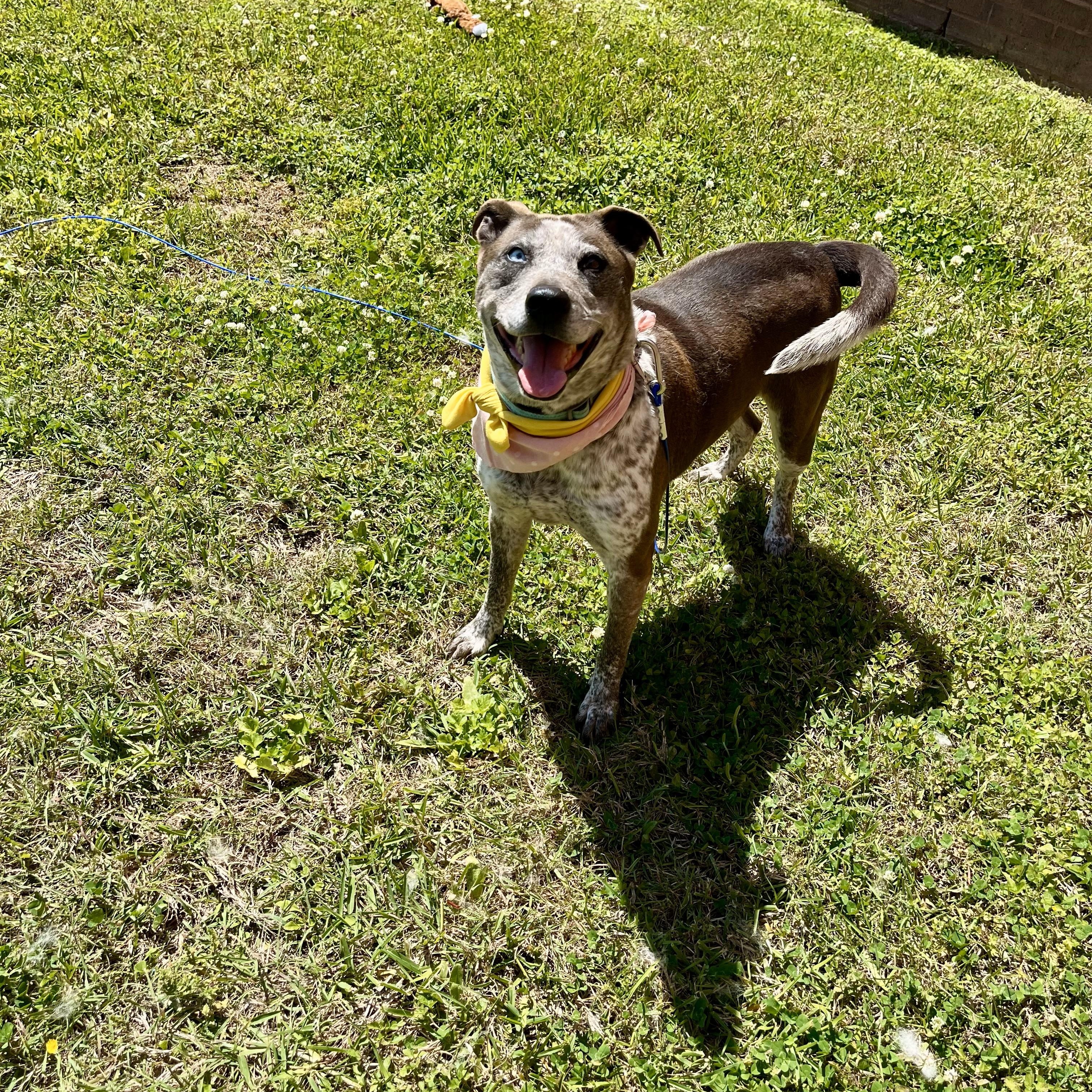 Nezuko Kamado — thumbnail 2