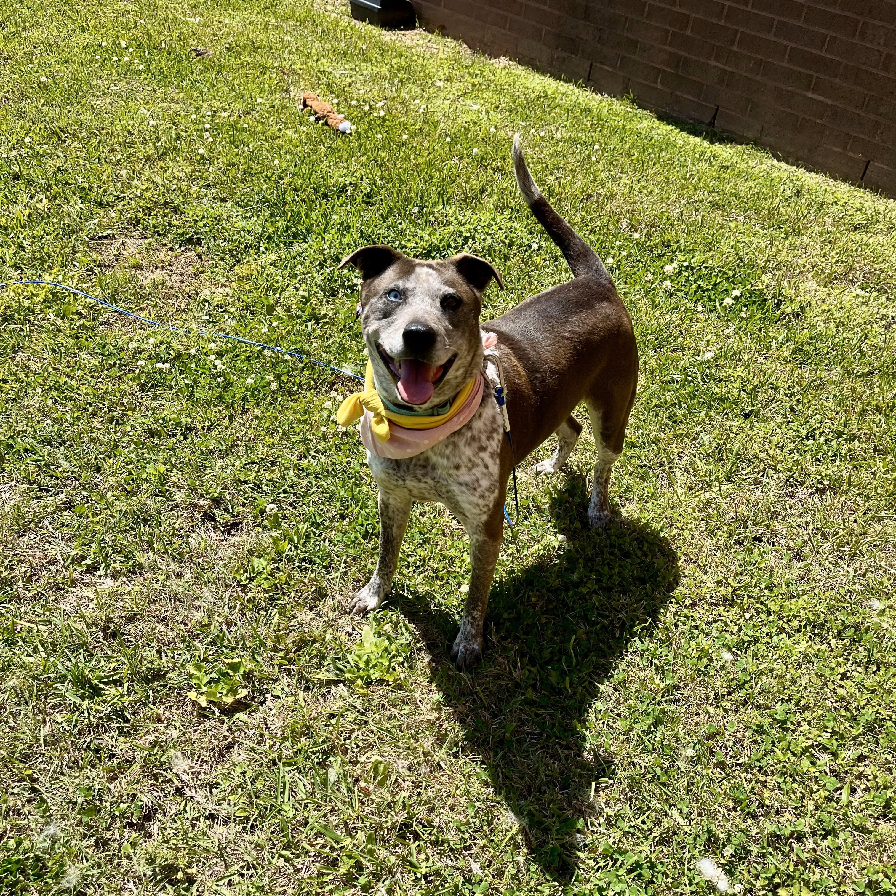 Nezuko Kamado — thumbnail 3