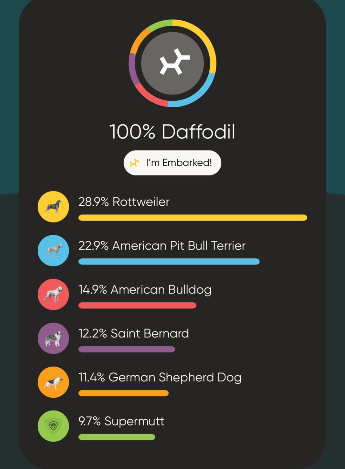 Daffodil — thumbnail 3