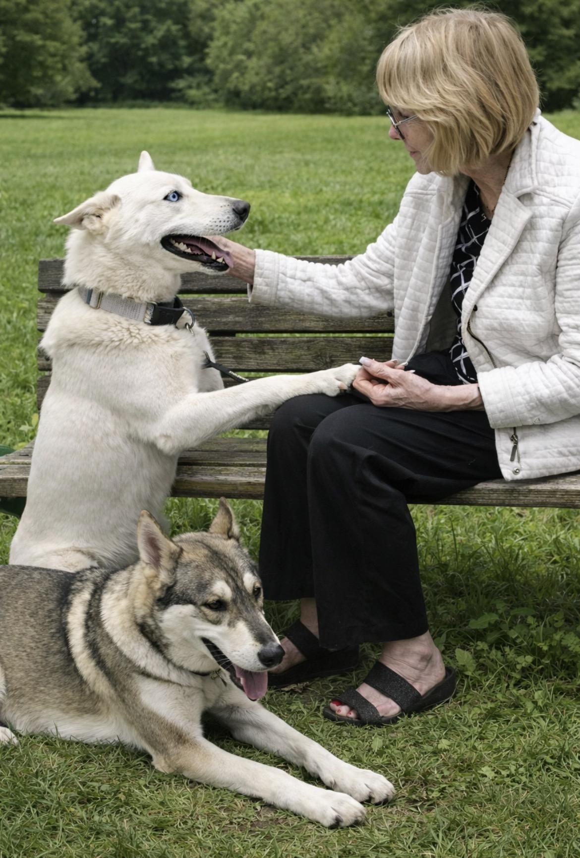 Enlarge Luna &  Nala, an adopted mixed breed in Scottsdale, AZ image 6/6